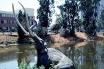 American Mastodon (Mammut americanum), La Brea Tarpits, Hancock Park, August 1971, 1970s