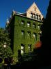 Ivy, building, University of Chicago, CLCD01_104