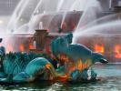 Buckingham Fountain Water Sculpture, CLCD01_144