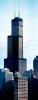 Willis Tower, Panorama, skyline, cityscape, buildings, skyscrapers, CLCV01P14_06B