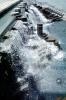 Water Fountain, aquatics, CLCV09P05_13