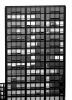 Ludwig Mies van der Rohe, Architect, CLCV11P01_05BW