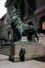 Lion Statue, The Art Institute of Chicago, Buildings, May 1961, 1960s, CLCV11P10_14