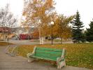 Empty Bench, Park, Leaves, Trees, fall colors, Autumn, Vegetation, Flora, Plants, Colorful, Beautiful, Exterior, Outdoors, Outside, peaceful, CLED01_123