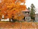 Home, House, Single Family Dwelling Unit, Autumn, Trees, Leaves, CLED01_125