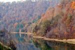 fall colors, Autumn, Trees, Vegetation, Flora, Plants, Colorful, Beautiful, River, Woods, Forest, Exterior, Outdoors, Outside, Bucolic, Rural, peaceful, woodlands, Carr Fork Lake, CLKV01P03_02