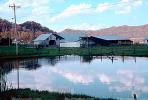 barn, outdoors, outside, exterior, rural, building, pond, reflection, CLKV01P03_09.1728