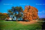 home, house, Building, domestic, domicile, residency, housing, fall colors, Autumn, Trees, Vegetation, Flora, Plants, Woods, Forest, Exterior, Outdoors, Outside, Rural, peaceful, CLKV01P04_07.1728