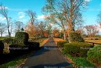 Pathway, Driveway, manicured bushes, trees, autumn, Lexington, home, house, residence, building