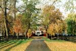 Pathway, Driveway, home, house, residence, building, trees, autumn, Lexington, CLKV01P05_02