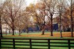 Lexington, Fence, Grass, Lawn, CLKV01P05_07