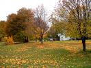 house, housing, home, single family dwelling unit, fall colors, leaves, lawn, Grand Marais, autumn, CLMD01_083