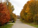 road, street, fall colors, trees, Grand Marais, autumn