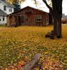 house, housing, home, single family dwelling unit, fall colors, leaves, Building, domestic, domicile, residency, tree, Port Sanilac, Michigan, autumn, CLMD01_197