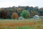 Fall Colors, Farm, Barn, Fields, home, house, building, autumn