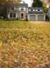 Garage, Frontyard, Leaves, autumn, CLOD01_139