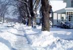 Snow, Ice, Cold, Sidewalk, Bare Trees, Winter, Street, CLOV01P01_06