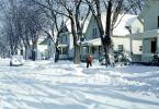 Road, Street, Bare Trees, Homes, Houses, Snow, Ice, Cold, Winter