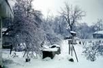 Bare Trees, Birdhouse, Snow, Snow, Ice, Cold, CLOV01P01_09