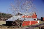 Red Barn, Bare Tree, Bucolic, Rural