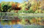 Autumn, Fall Colors, reflection, pond, lake, fence, water, woodlands, CLOV02P06_06