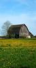 barn, wood, outdoors, outside, exterior, rural, building, Yellow Flower Fields, Door County, Green Bay Peninsula, Wisconsin