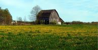 barn, wood, Yellow Flower Fields, outdoors, outside, exterior, rural, building, Door County, Green Bay Peninsula, Wisconsin, CLWD01_018