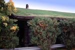 Grass sod roof, goats, Al Johnson's Swedish Restaurant, Green Bay Peninsula, Door County