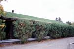 Grass sod roof, goat, Al Johnson's Swedish Restaurant, Green Bay Peninsula, Door County