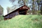 People at Easley Covered Bridge, Forest, Trees, CMAV01P10_17