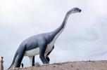 Brontosaurus, Long Neck, Dinosaur Park, Rapid City, CMDV01P01_18