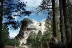 Mount Rushmore through the forest, trees, CMDV01P07_14