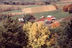 barn, tree, fall colors, Autumn, Trees, Vegetation, Flora, Plants, Colorful, Fields, CMIV01P04_08
