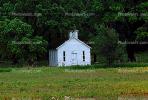 One Room Schoolhouse, building, trees, forest
