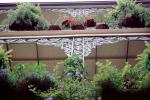 Plants, Balcony, Guardrail, Building, French Quarter, CMLV01P12_09