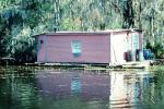 House on the Bayou, swamp, floating house, home, building, wetlands