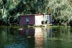 House on the Bayou, swamp, floating home, building, wetlands
