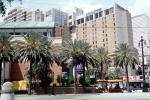 Doubletree Building, Downtown, Palm Trees, the French Quarter, CMLV02P07_09