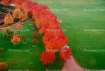 fall colors, Autumn, Trees, Vegetation, Flora, Plants, Colorful, Exterior, Outdoors, Outside, Bucolic