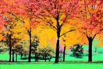 Autumn, Deciduous Trees, Fall Colors, Twilight, Dusk, Dawn, Paintography, CMMV01P07_11D