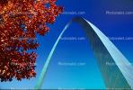 The Gateway Arch, looking-up, tree, CMMV01P15_12.1729