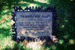 Friendship Oak, CMSV01P03_03