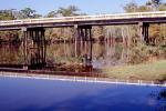 River, Reflection, Swamp, Bayou, wetlands