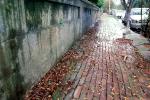 Wall, Brick Sidewalk, Natchez, CMSV01P11_06