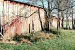 old wooden barn, bare trees shadow, CMTV02P05_06