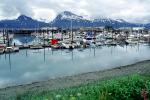 Valdez, Dock, CNAV01P06_13