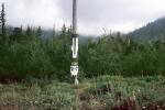Totem Pole, Ketchikan, CNAV02P03_05