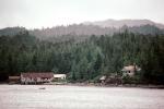 Forest, Water, Buildings, Ketchikan, May 1991