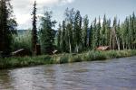 water, river, trees, conifers, pine, evergreen, houses, CNAV02P15_02