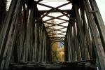 Wooden Trestle Bridge, Chickaloon Railroad, Matanuska-Susitna Borough, CNAV03P02_03